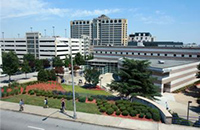 Georgia State University