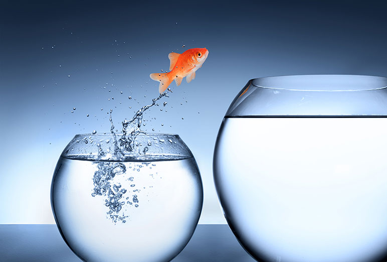 Computer-generated image of a goldfish jumping from a small fish bowl to a larger fish bowl.